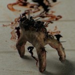 splinter_hand splinter_hand