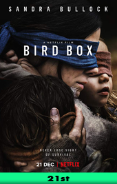 bird box movie poster vod